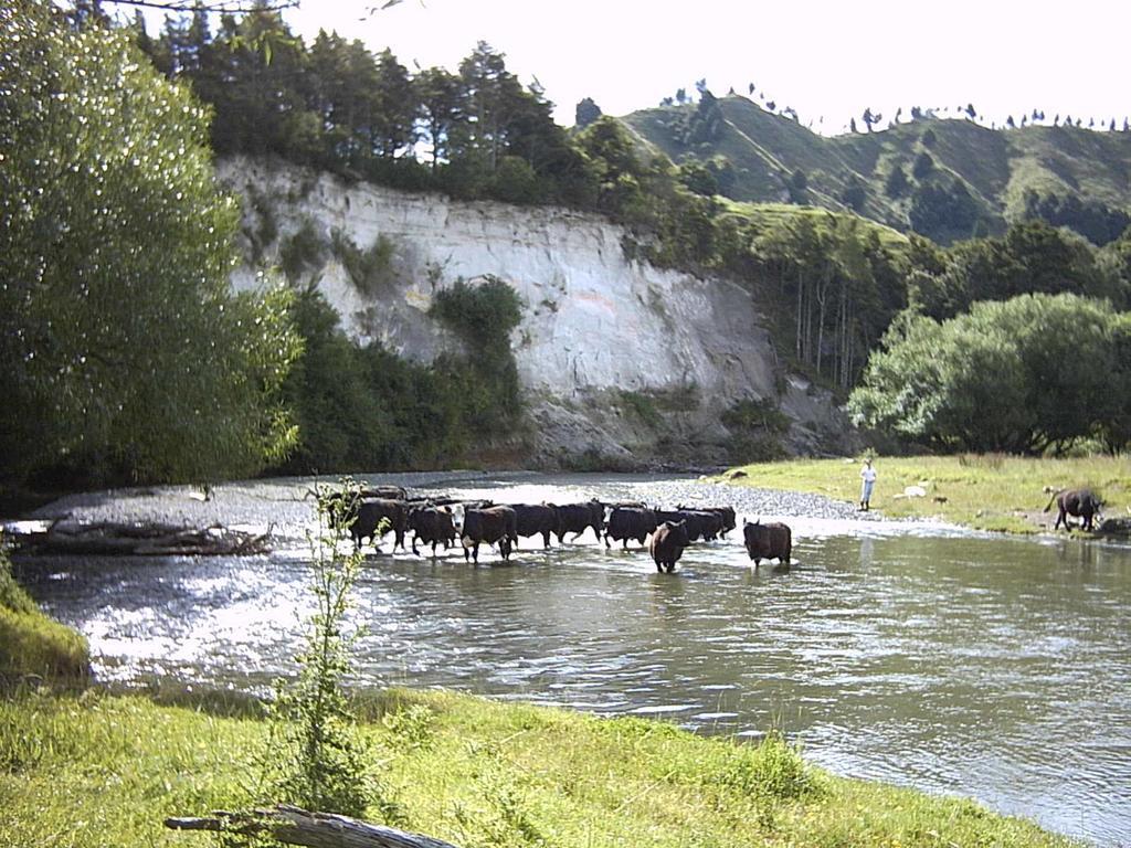 Earthsounds Country Cottage Taumarunui Buitenkant foto